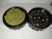 11FFDF55-821D-47B8-A480-F7A0E921B588