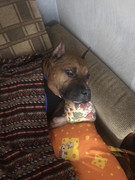 CB7F8DF8-D746-42FB-8402-F33D9C328333