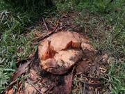 WhatsApp Image 2020-01-31 at 15.50.18 (4)