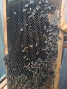 photo_2020-06-16_07-17-17