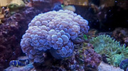 20220905-110448.jpg