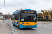 IMG-1856