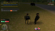IMG-0087
