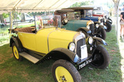 IMG-4636.jpg
