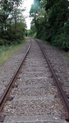 S1470167