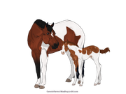 304018C5-82AE-4E0C-B887-F15326E6CE12