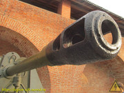 IMG-0017