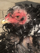 12E26AA2-95CA-4BA0-9801-0794992B7AA9