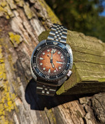 PXL_20231012_205808331.PORTRAIT.ORIGINAL