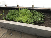 91AB6841-0AB8-4B63-BAC1-0E7B458335C8