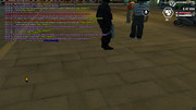 gallery31