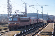 IMG-7582