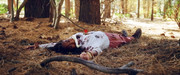 Nicole-Lovince-6-Kill-Her-2022