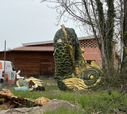 IMG-3605