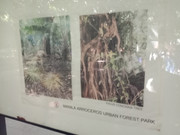 Arroceros-Forest-Park-Manila-Bagras20260715-142212