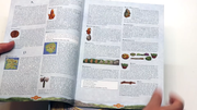 Odin-Dutch-rulebook-screenshot-(21)