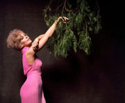 kim-novak-503