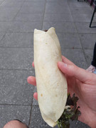20190727-140049-1.jpg