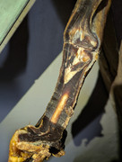 PXL-20250423-142848378