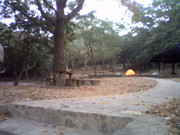 picture-0010_27057880548_o