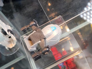 Transformers-Earth-Spark-Toys-Reveal-30