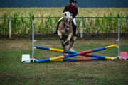 DSC-9340