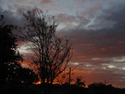 50.2.oncoming evening II