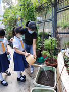 photo-littlefarmer2223-1A-019