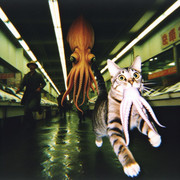 _699ba58a-f746-4955-a485-e8ddfbc8fb37