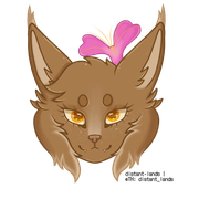 export202408282152471555