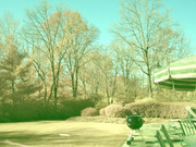 [Image: DSC-P150-Visible-and-IR-more-green.jpg]
