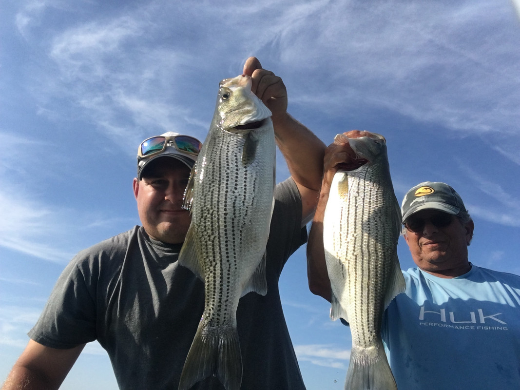 BCF62AB7-6143-47B9-AAF7-2D926F92EF72