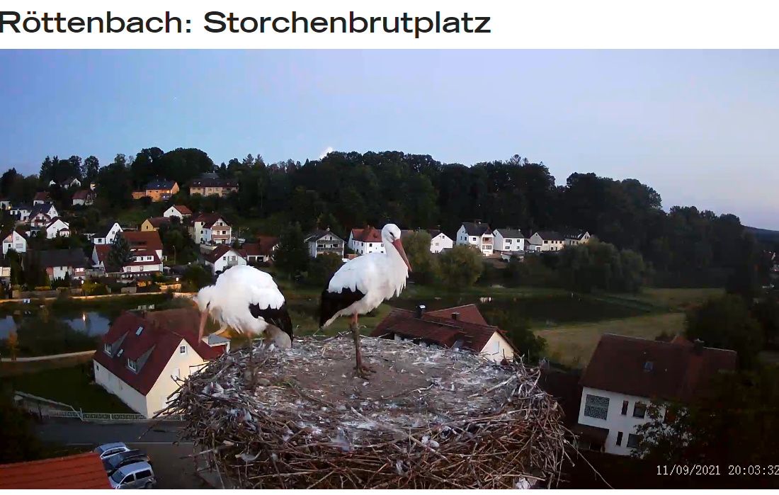 bandicam 2021-09-11 20-02-39-182