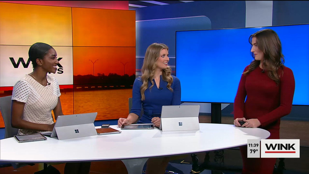01.01 - 16.30.00 - WINK NEWS at 11 30am  ᴺᵉʷ. Midday news..ts_snapshot_15.45.227