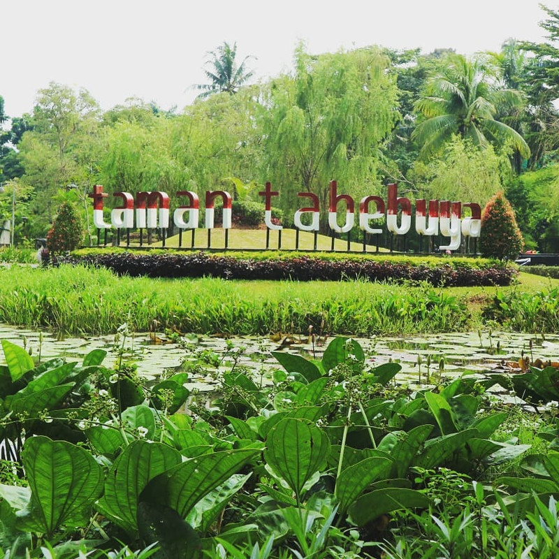 Taman Tabebuya