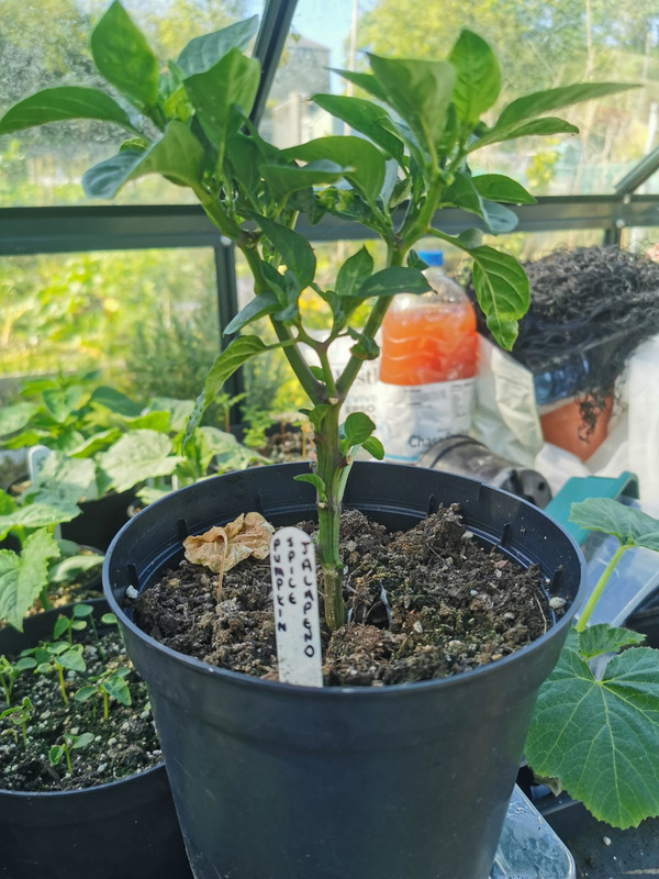 WhatsApp Image 2021-05-23 at 10.35.57 (4)