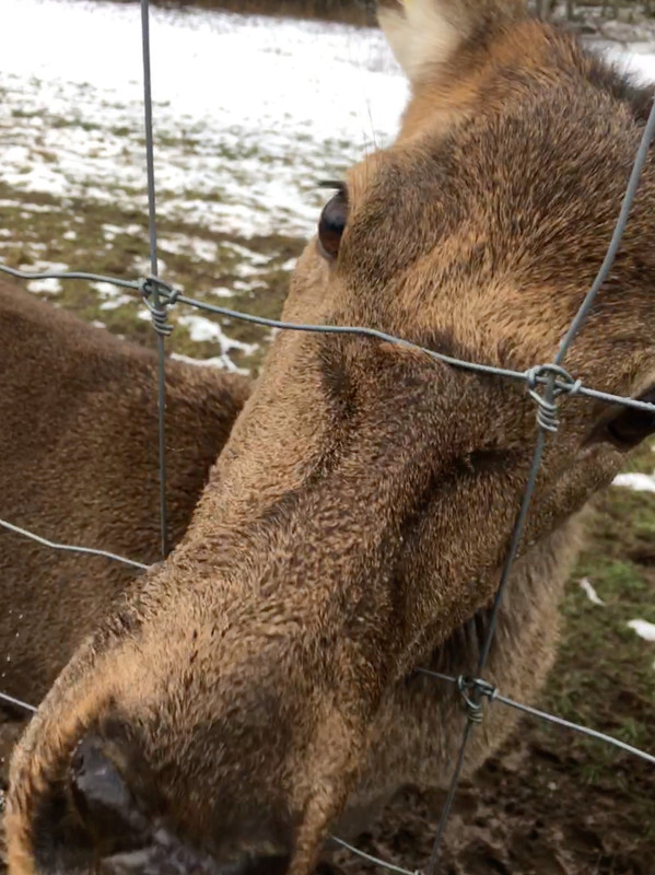 14FFFFF7-63AC-4750-A6E7-DC48B27533C2