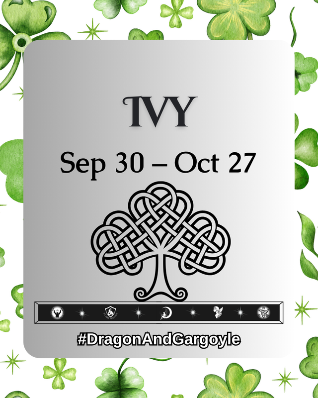 Ivy