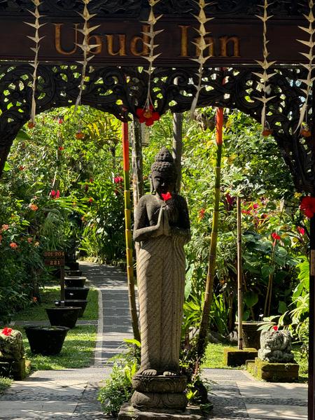 6 Aviones, 3 barcos y 2 trenes, empezando en Estambul y terminando Kuala Lump - Blogs de Indonesia - TERCERA PARADA: BALI (133)