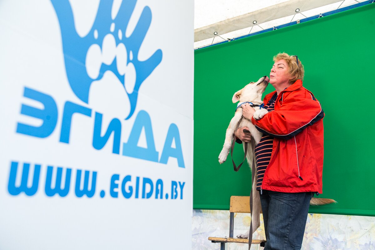 BFF14CD6-FEB8-4822-9E7D-6D63838937A9