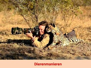 Dierenmanieren