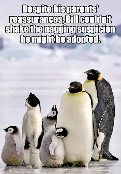 penguin-adopted.webp