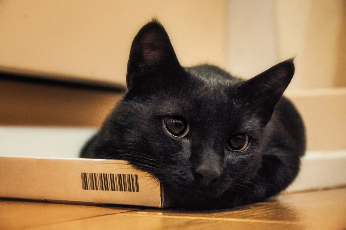 изображение_viber_2019-07-12_17-28-25