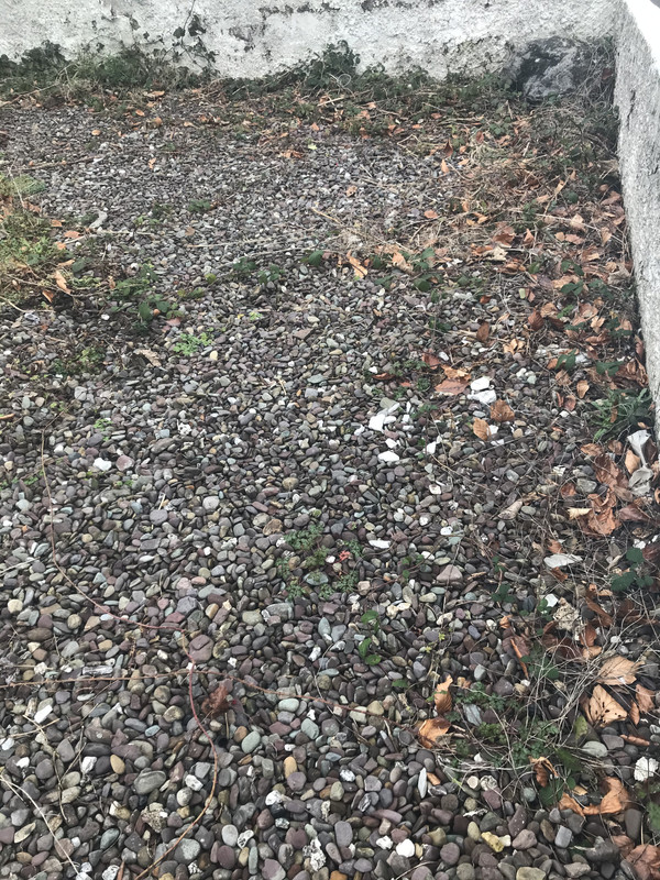 3F91EF96-7589-4BAF-BEB8-36D3DB2CC211