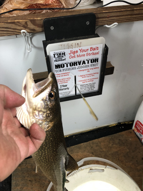 FD16A005-2481-4E34-859B-F40DDD0823BB