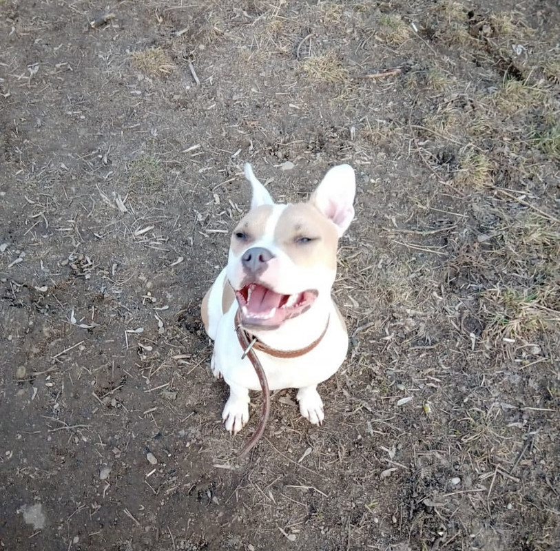 01E64448-D241-45A8-893E-7413CC634345