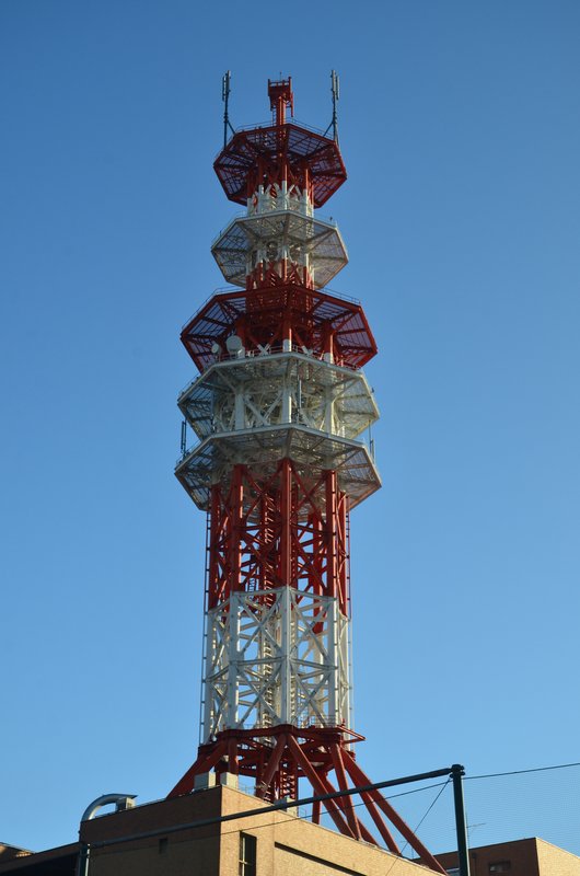 Utsunomiya-13-11-2024 - Japón y sus Pueblos-2024 (12)