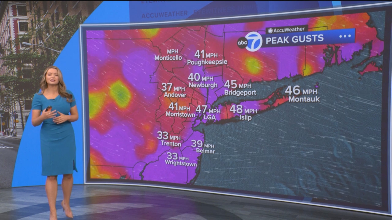 Eyewitness News Mornings at 10_20250307_15001600.ts_snapshot_47.45.591