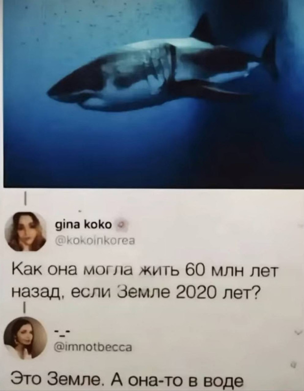 [Изображение: viber-2025-07-16-15-51-49-243.jpg]