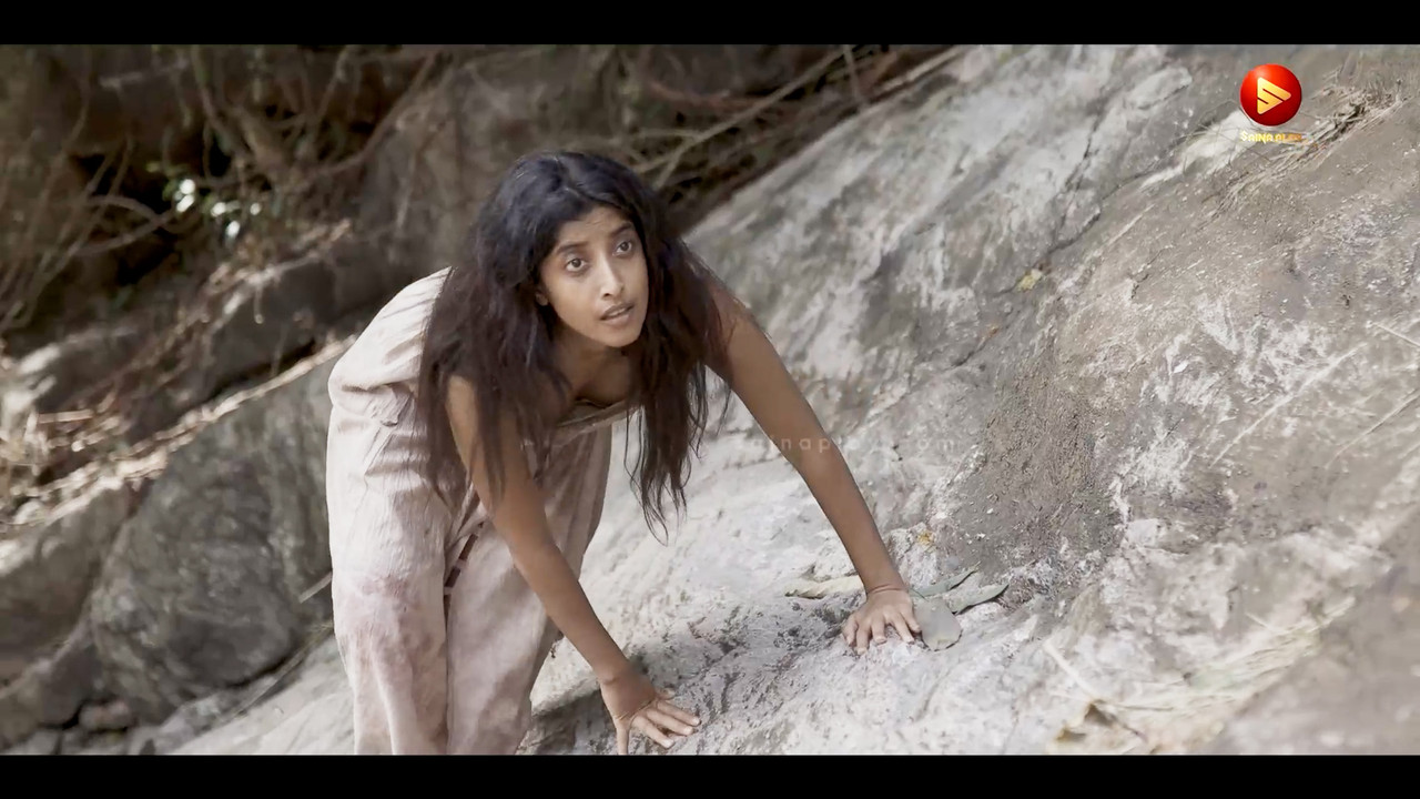 Ketaki Narayan sexy boobs show video